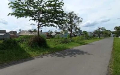 desa wirun mojolaban