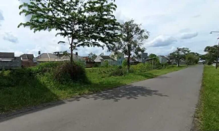 desa wirun mojolaban